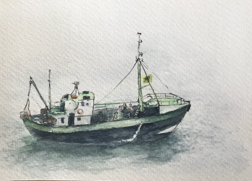 Crangon — Aquarel op papier